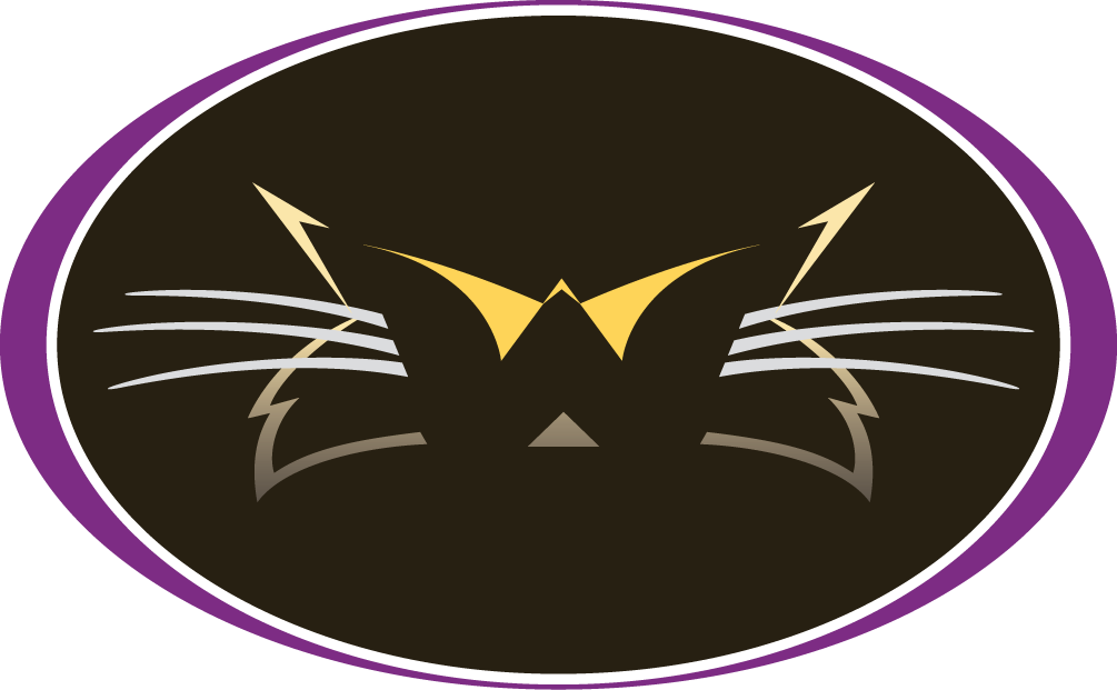 Western Carolina Catamounts 1996-2007 Alternate Logo 07 iron on paper